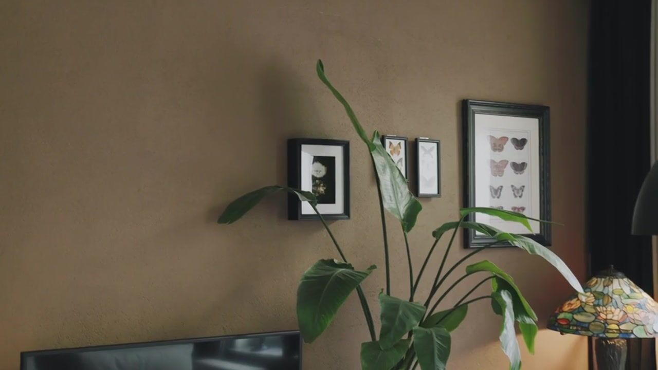 Video van Lijsterstraat 6