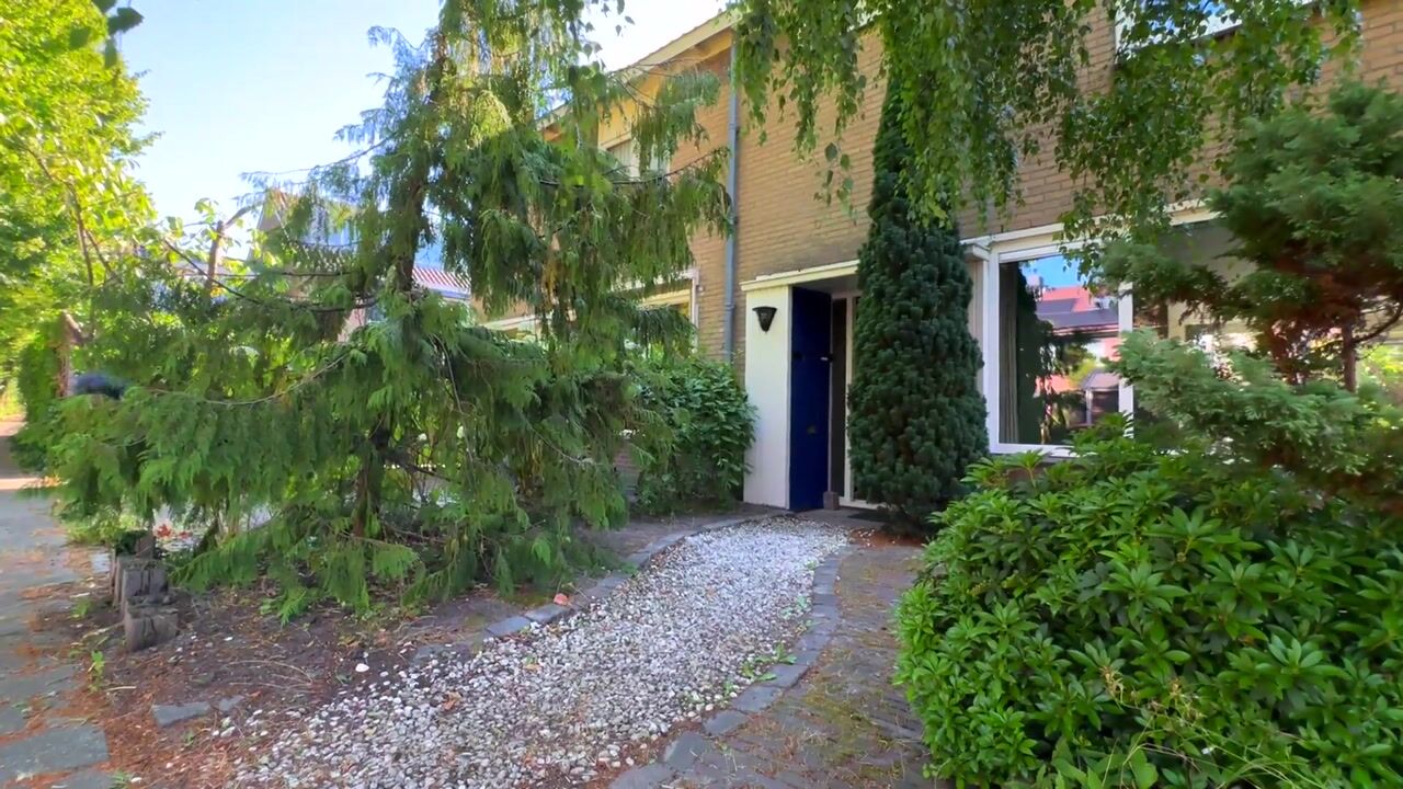 Video van Weegbree 13