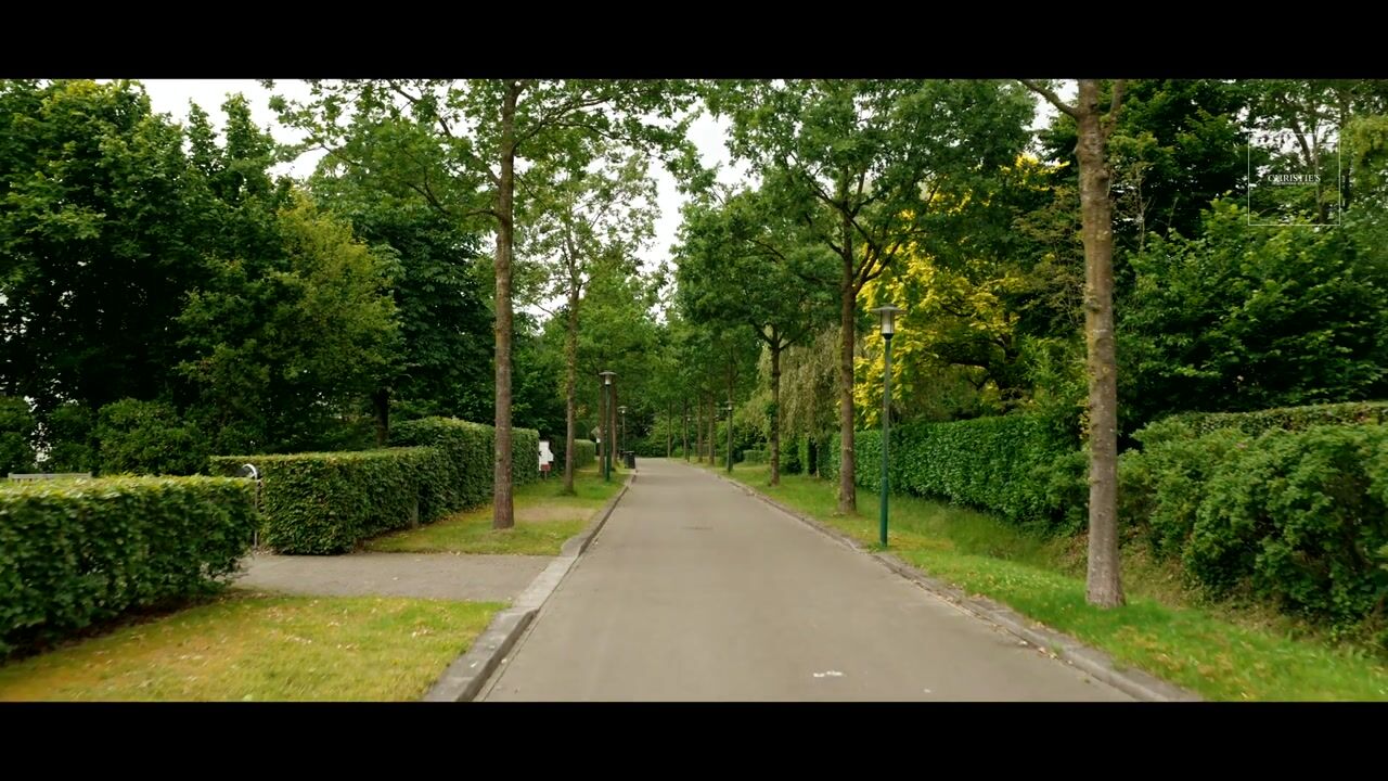 Video van Leurikslaan 14