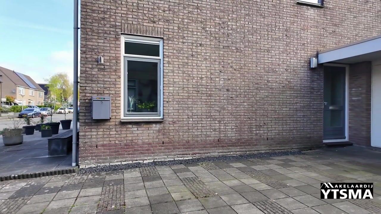 Video van Jarigsmastins 15