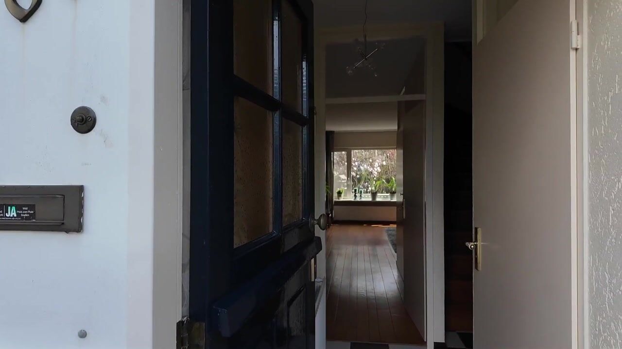 Video of Zilverschoon 64