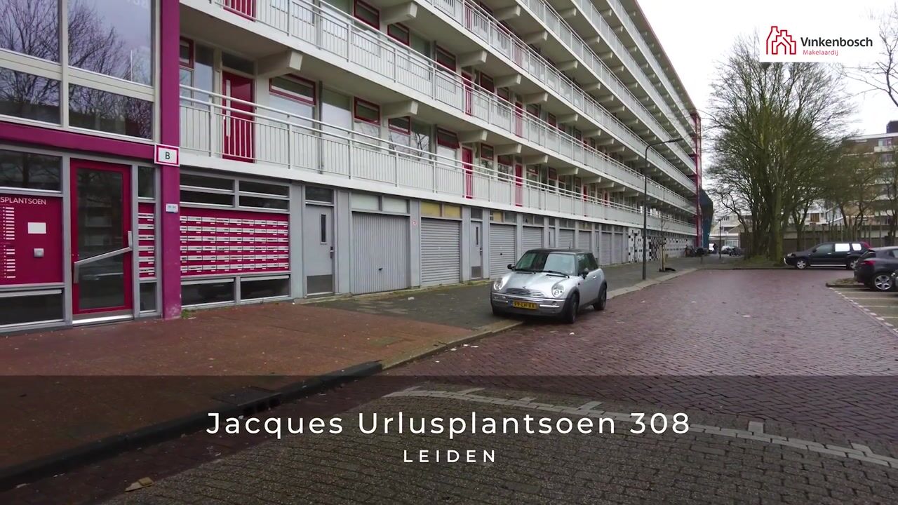 Video of Jacques Urlusplantsoen 308