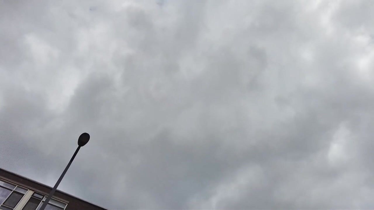 Video van Wilbertoord 19