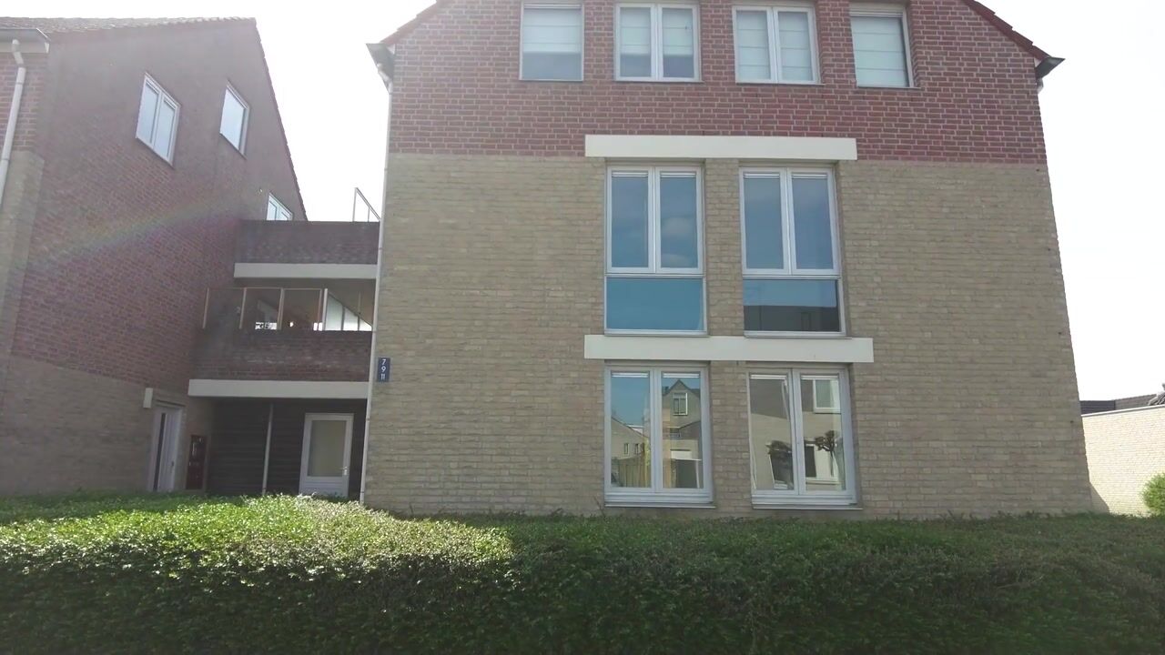 Video van Proefsteen 11