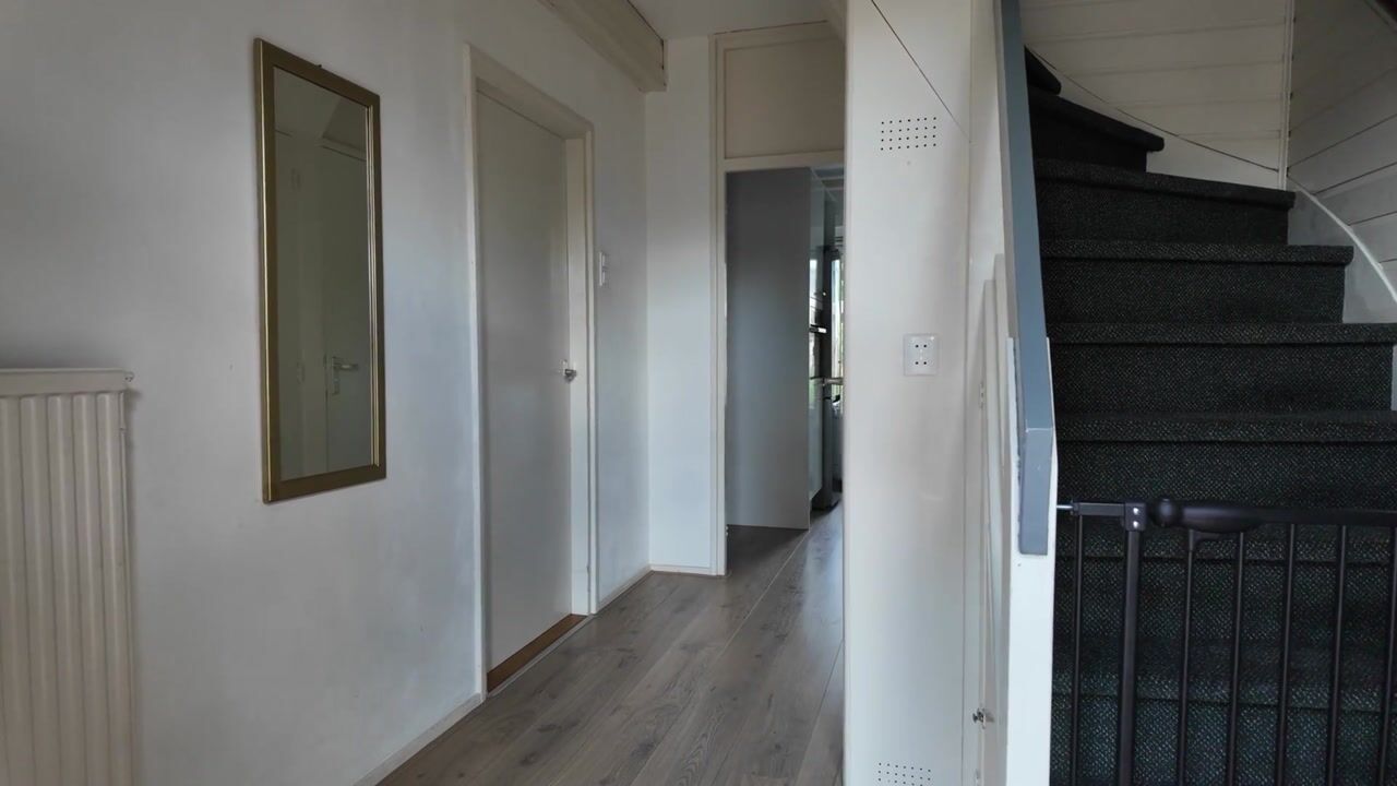 Video of de Bird 75