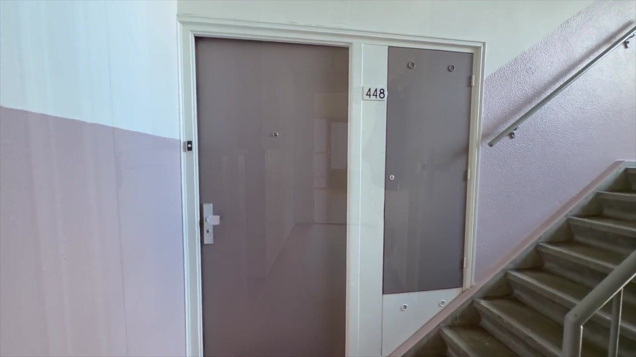Video van Rooseveltlaan 448