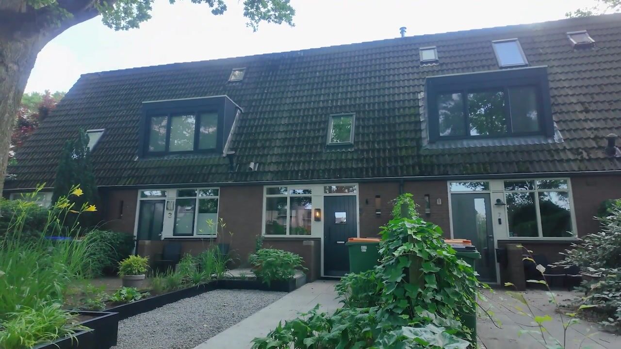 Video van Frankendaal 5
