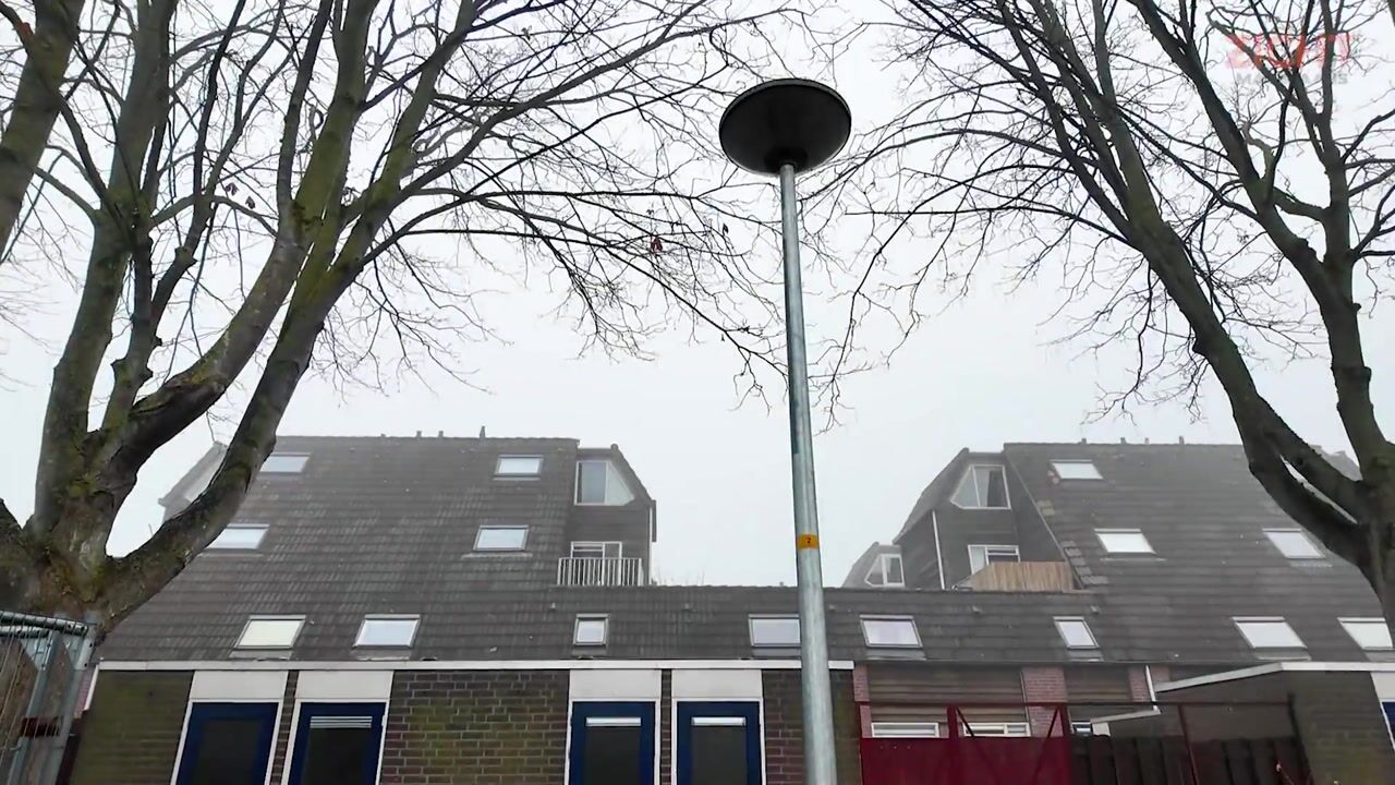 Video van Grutterij 31