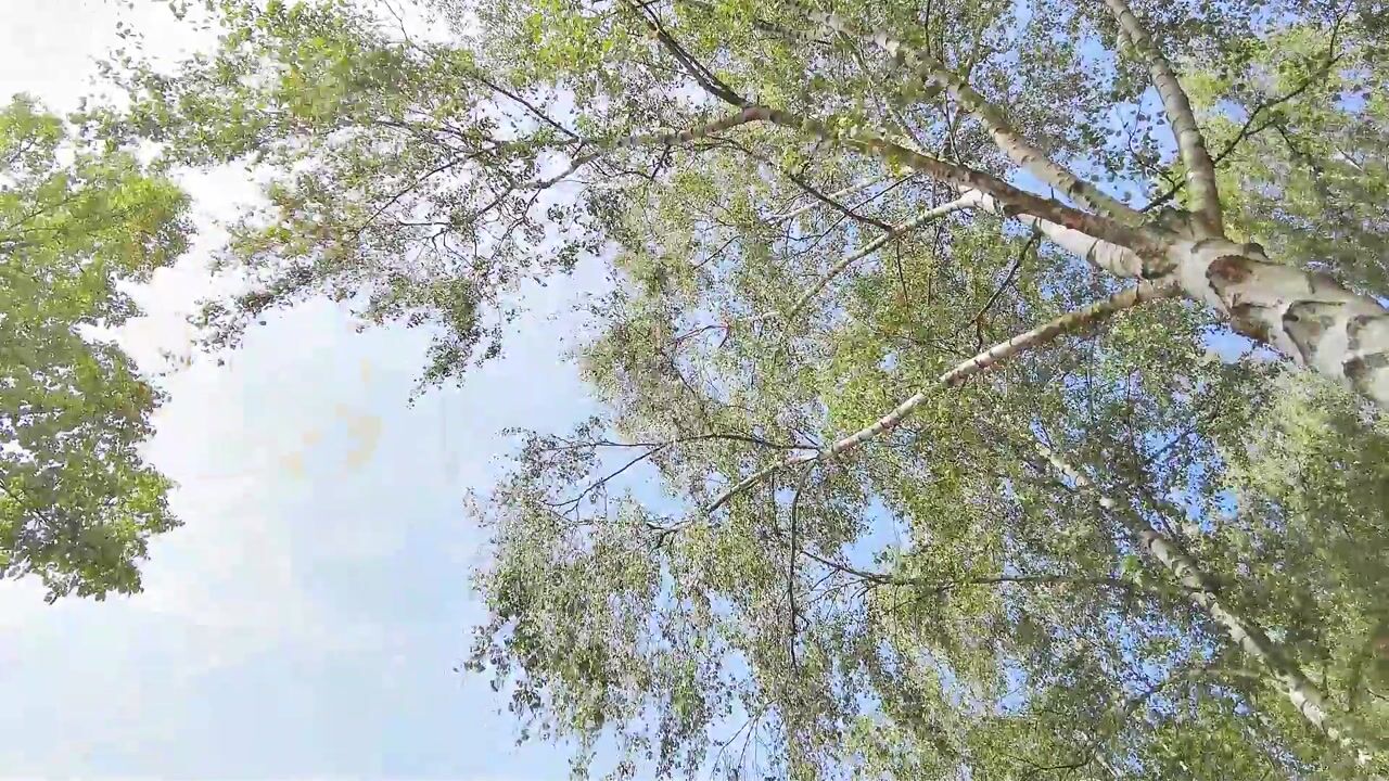 Video of Aletta Jacobskade 137