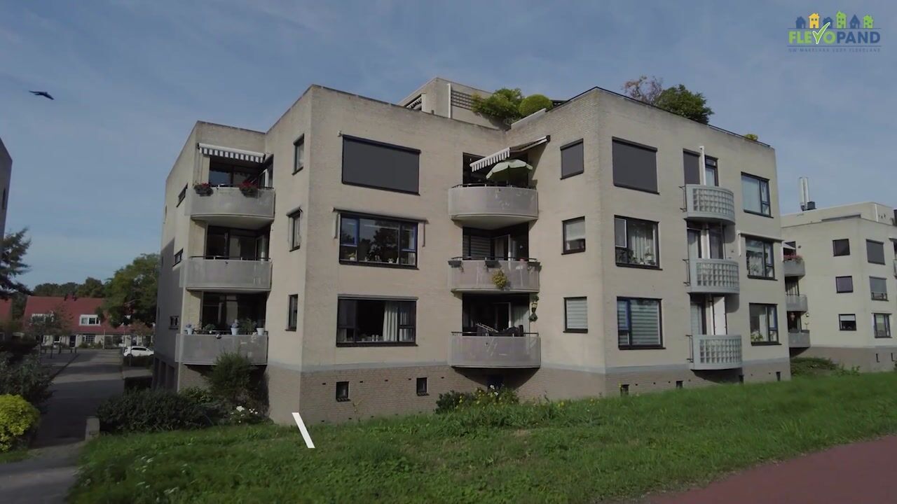 Video van Sterrekruid 41