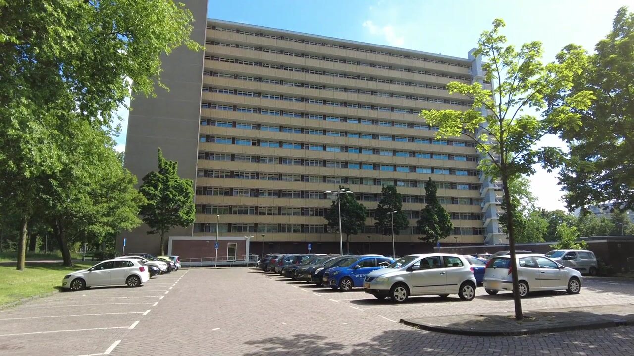 Video van Langswater 586