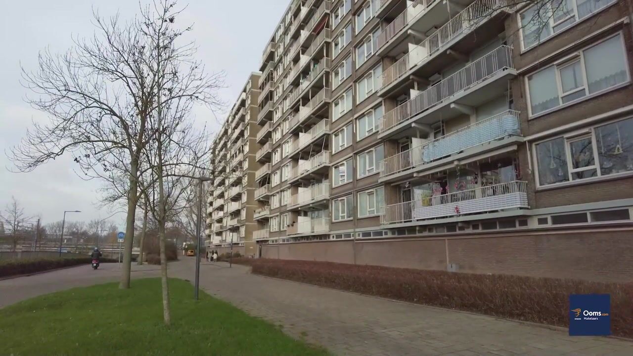 Video of Nieuwe Damlaan 589