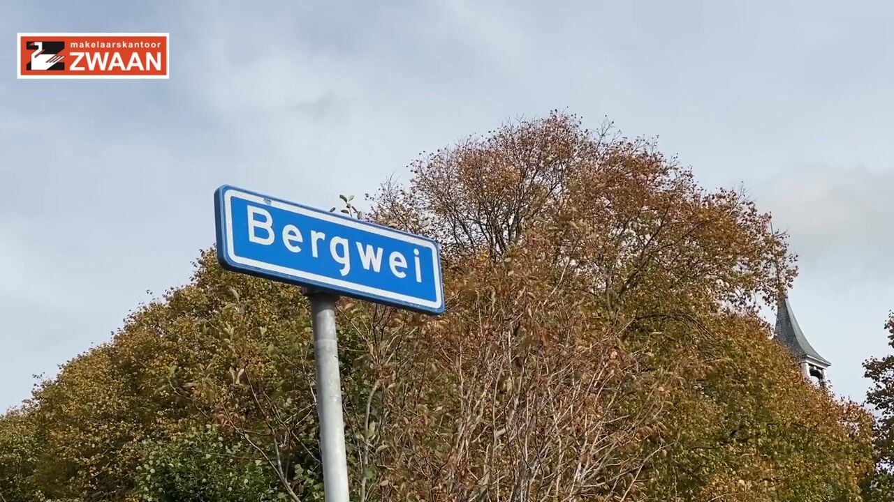 View video of Bergwei 10