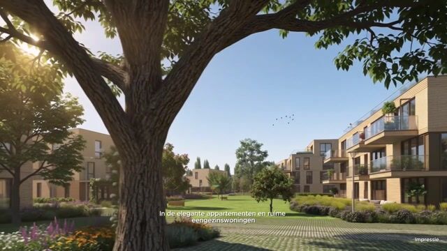 View video of New Joymere
