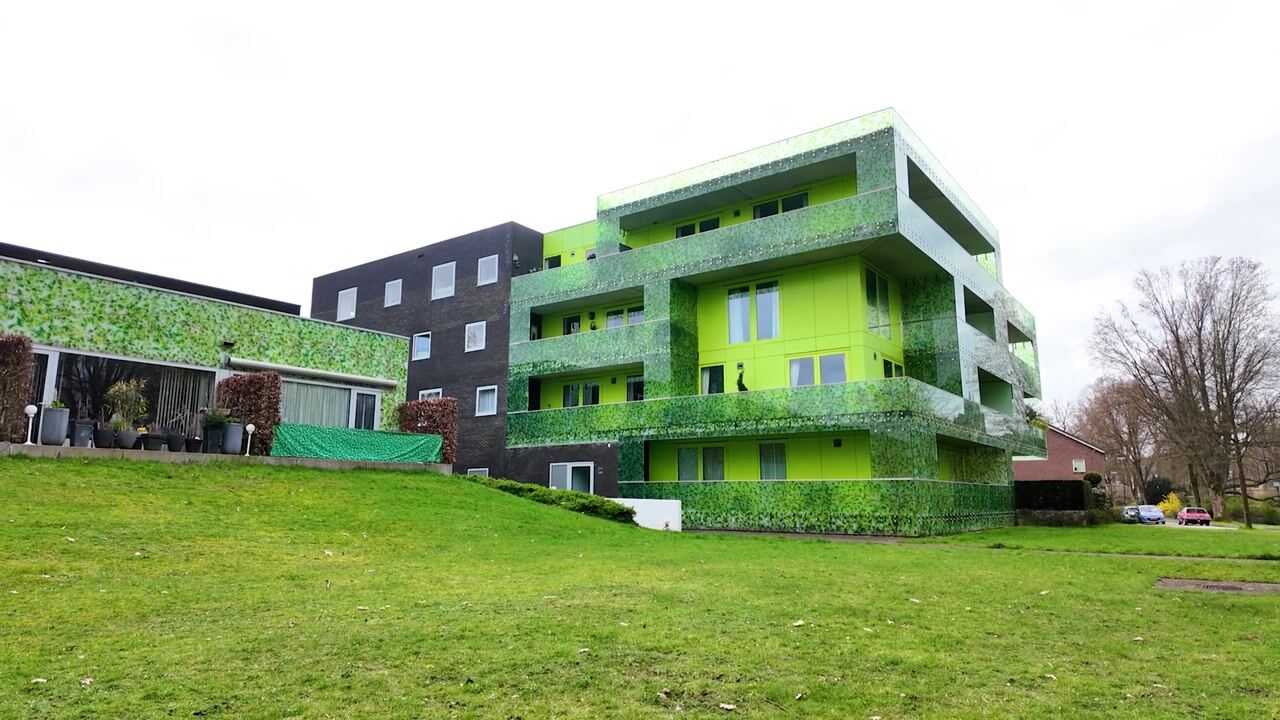Video of Koningspage 3-K