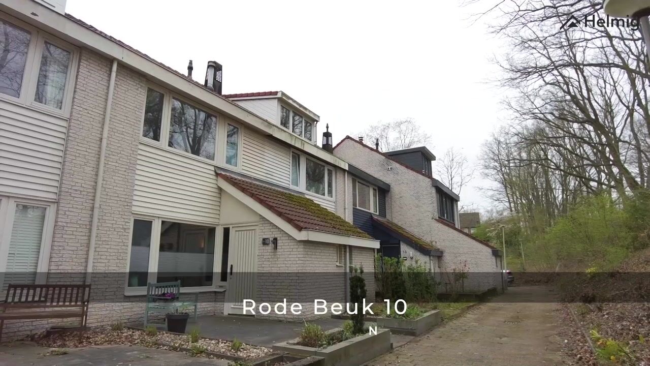 Video of Rode Beuk 10