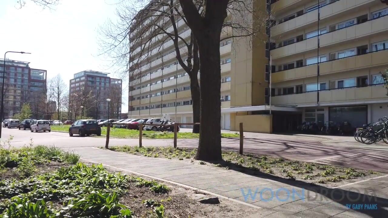 Video van Van Vollenhovenplein 35