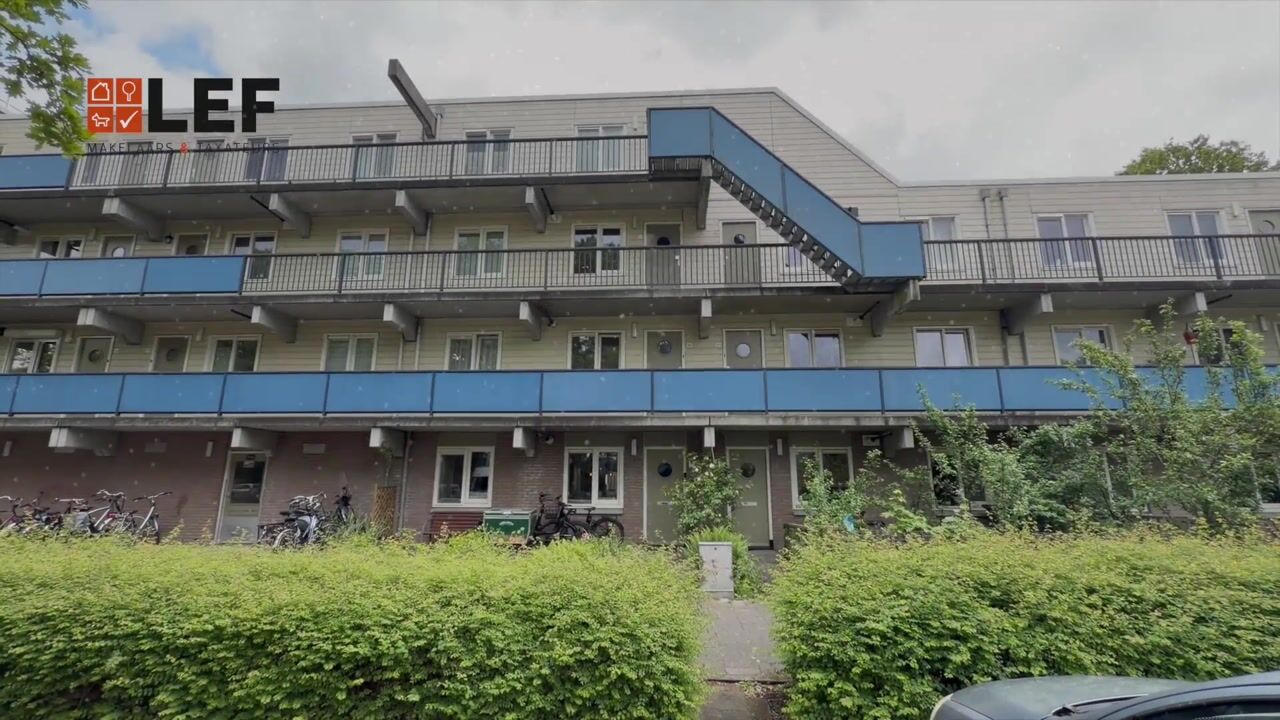 Video van Chilidreef 19