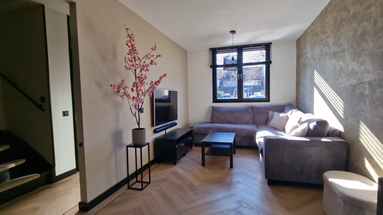 Video of Frisolaan 29