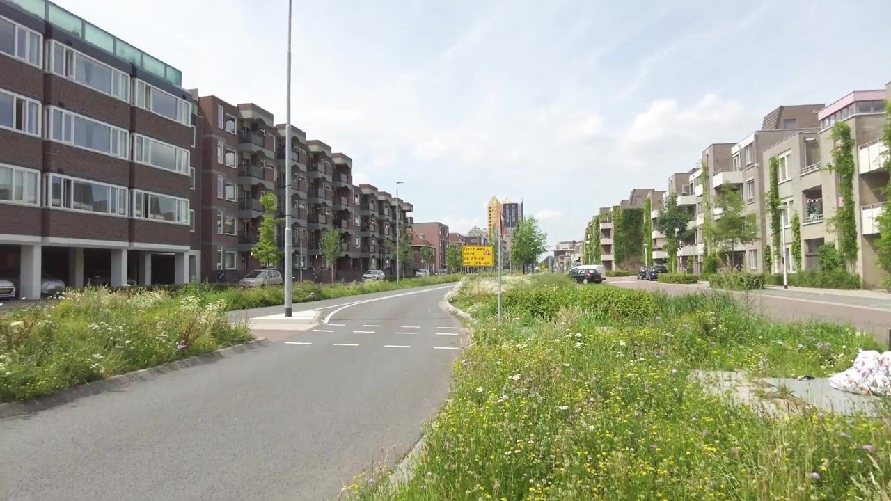 Video van Boschdijk 187-41