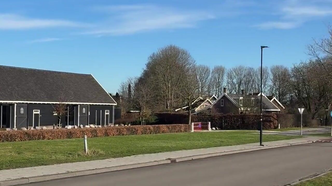 Video van Koriander 8