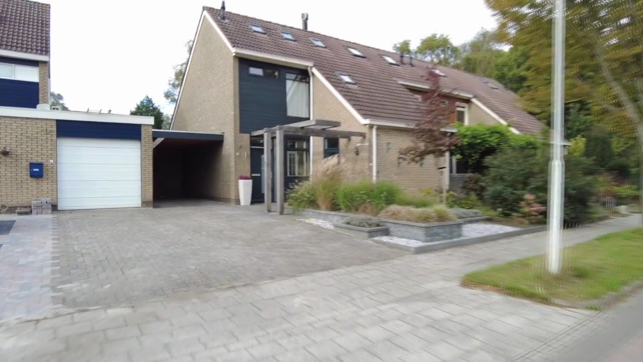 Video van De Warren 17