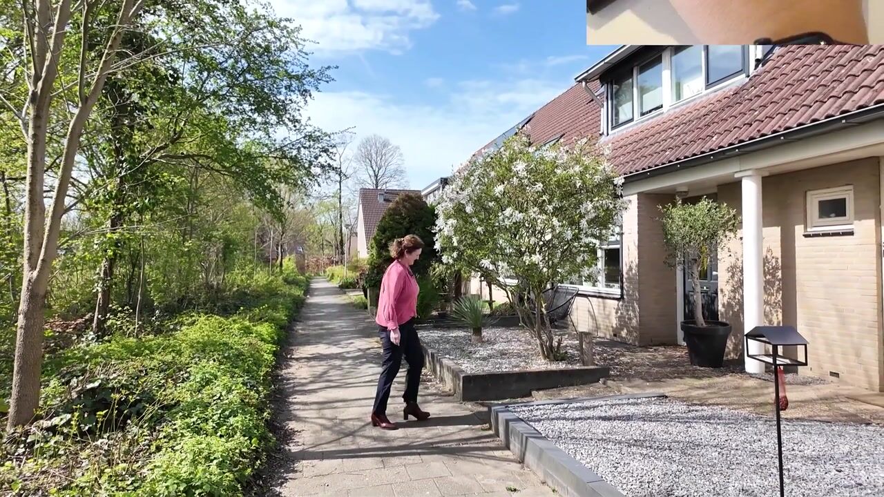 Video of Zenegroen 8