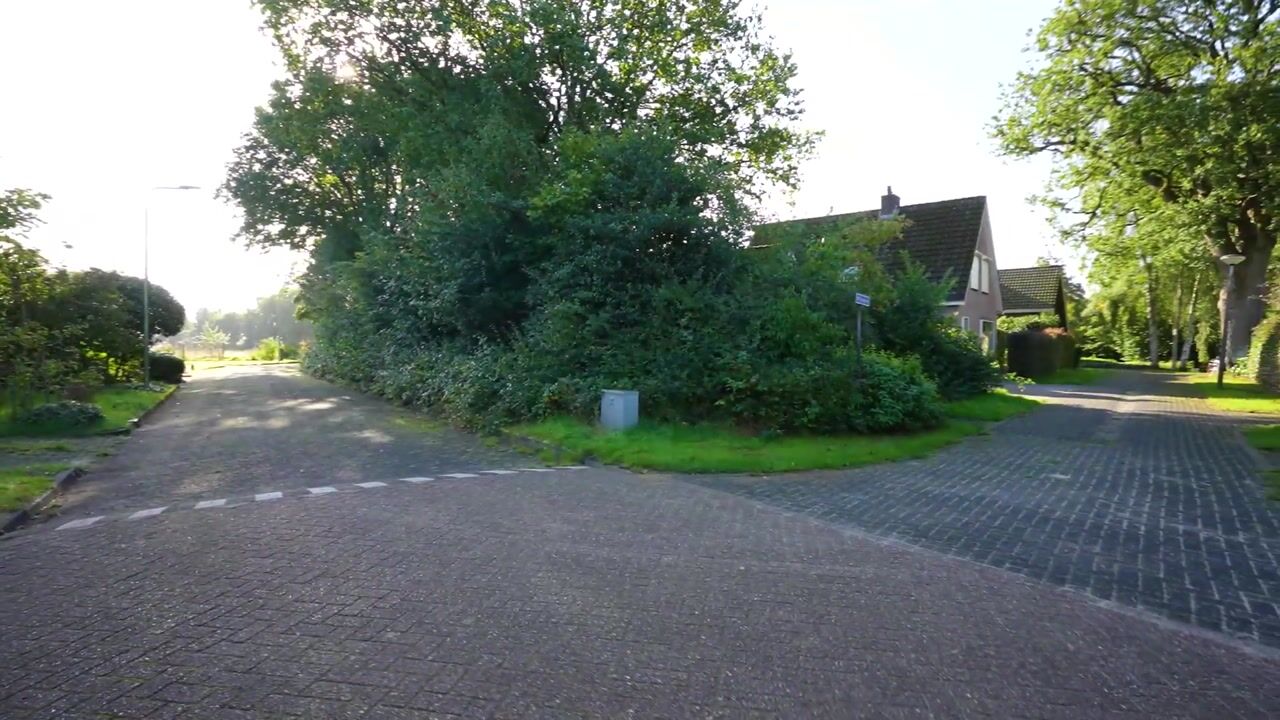 Video van Witacker 3