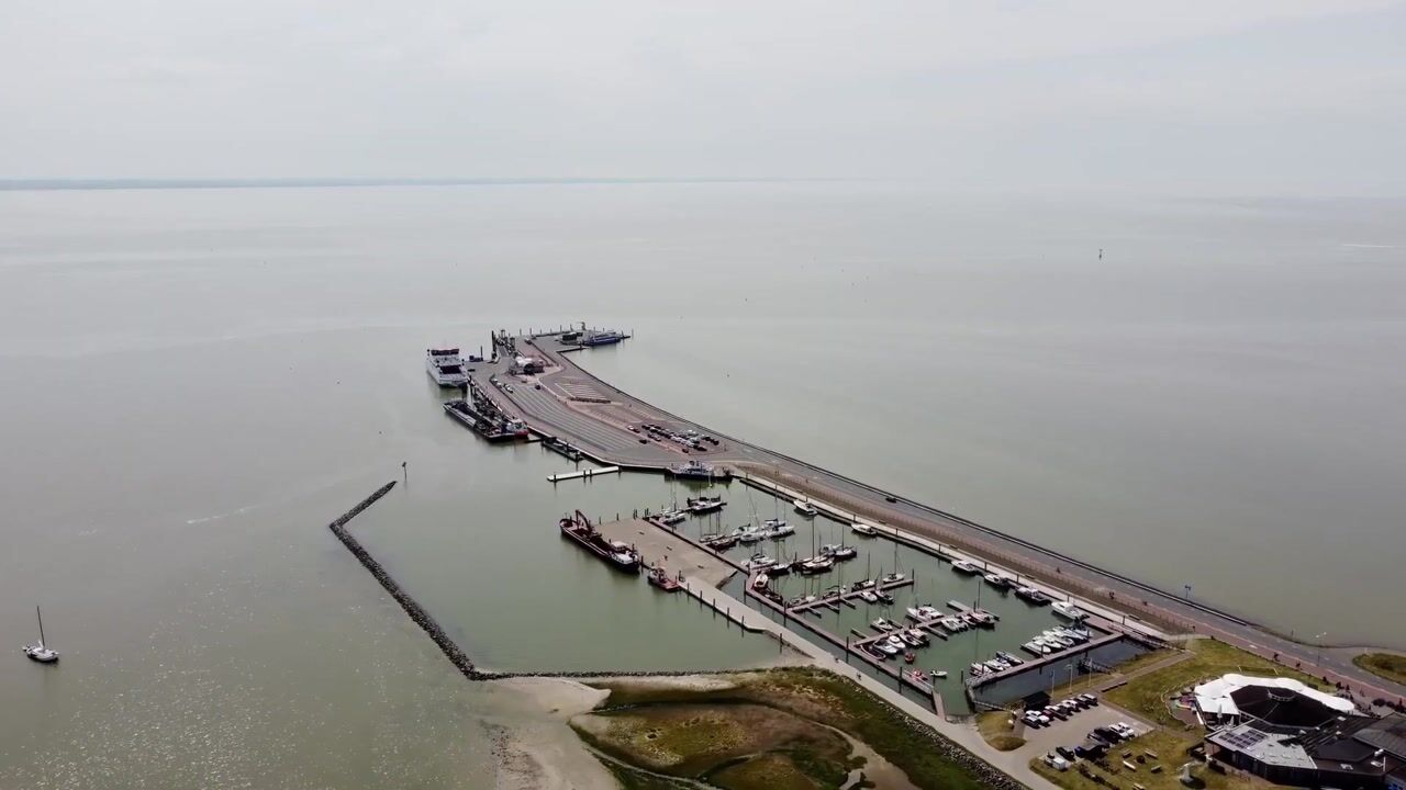 Video van Kemphaansduin 206