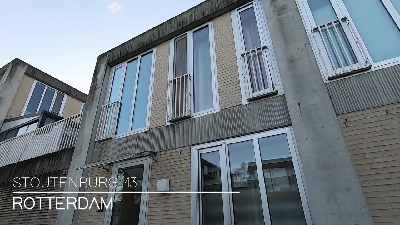 Video of Stoutenburg 13