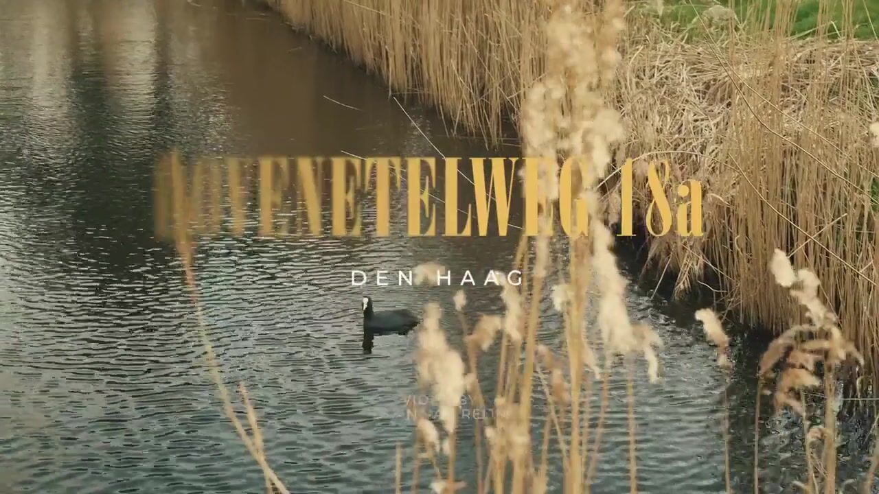 Video van Dovenetelweg 18-A