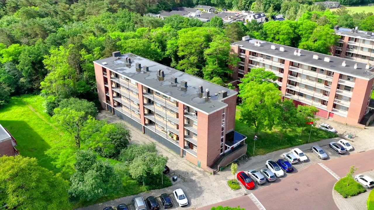 Video van Lange Heul 656