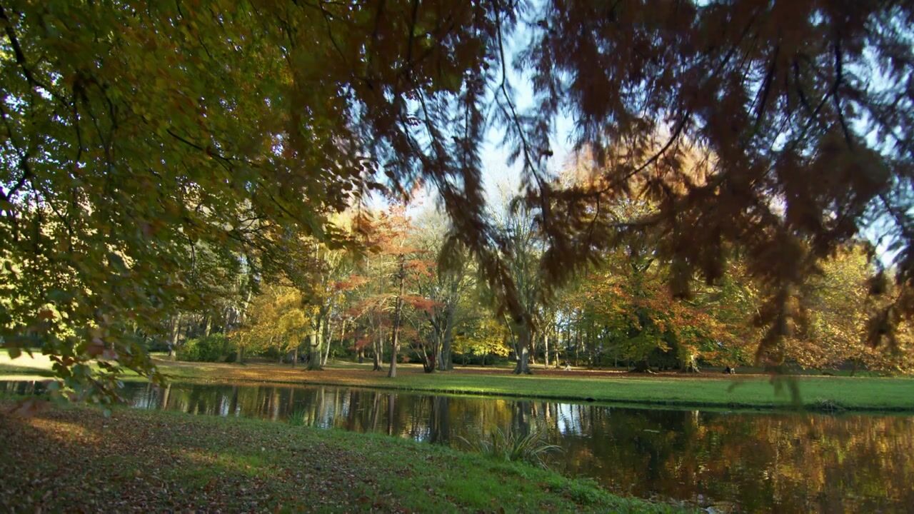 Video van Claes de Vrieselaan 160-B01