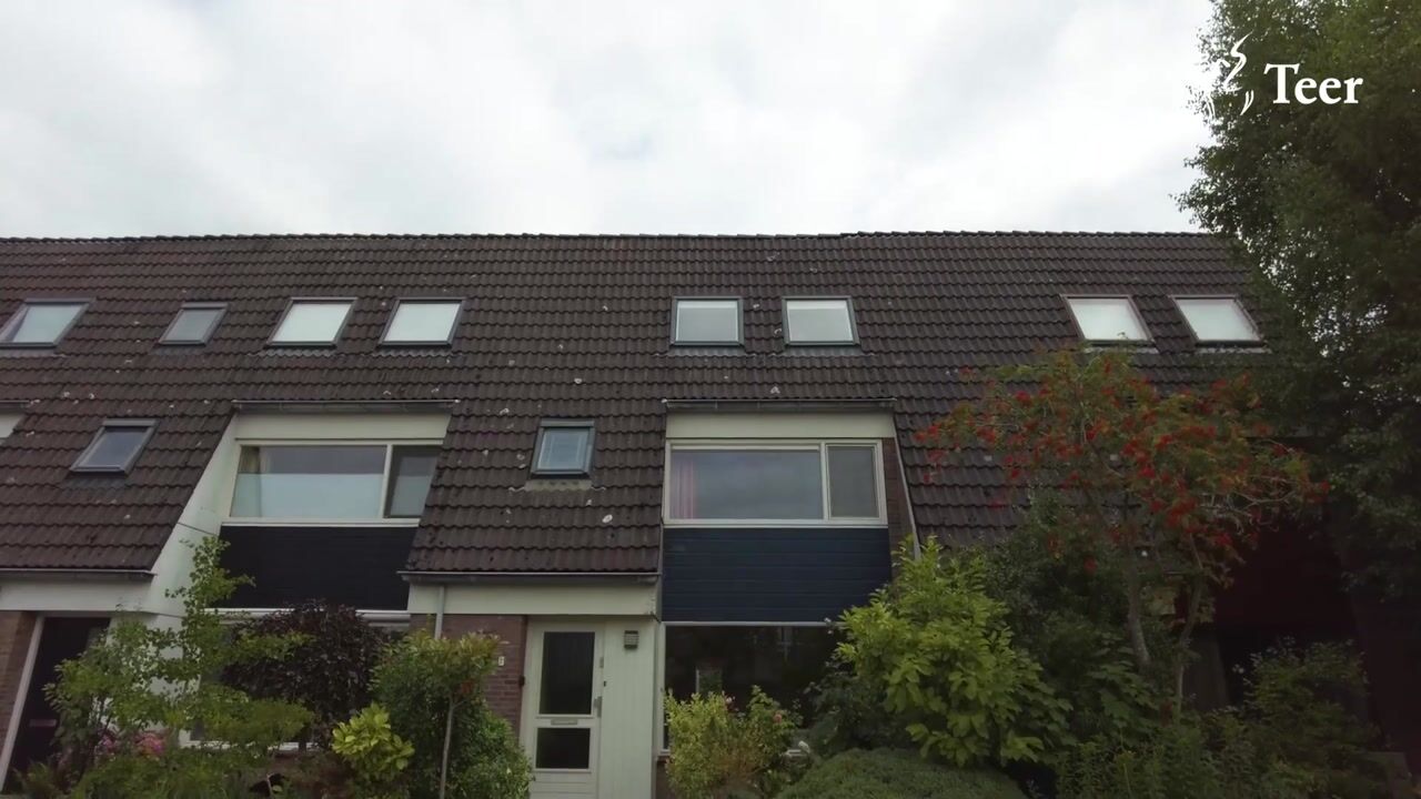 Video van Zwanebloem 7