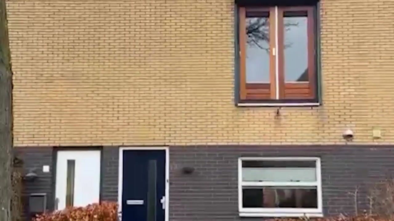 Video of De Goeijenmarke 11