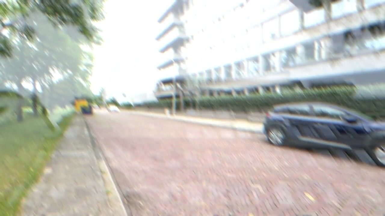 Video van Stadhoudersplantsoen 22-V