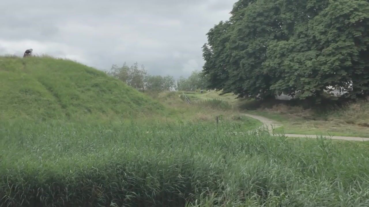 Video van Zwaanswal 4