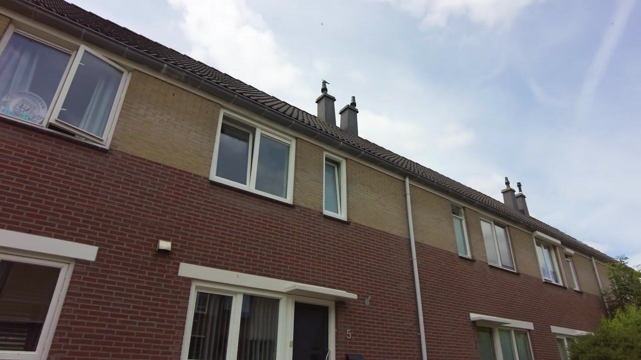 Video van Pinakel 5