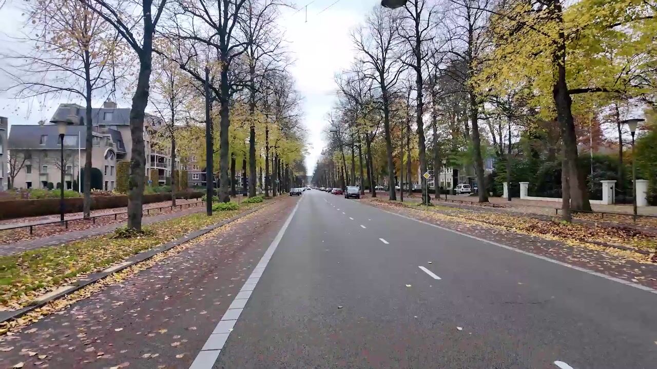 Video van Loolaan 524