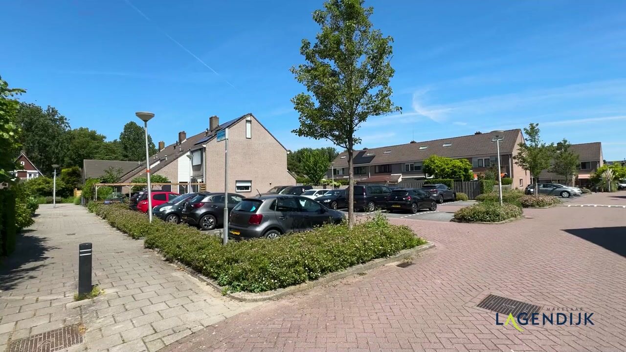 Video van Schijfmos 21