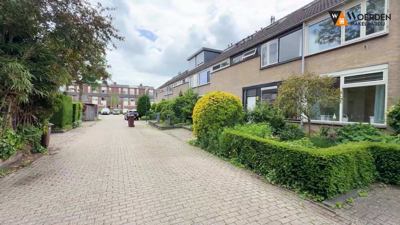 Video of De Ness 31