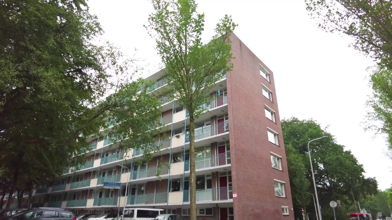 Video van Professor Cobbenhagenlaan 286