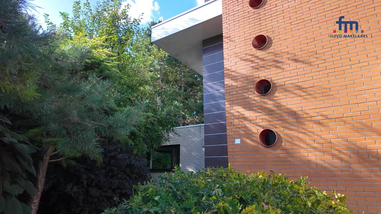 Video of Vlaamse Gaailaan 25