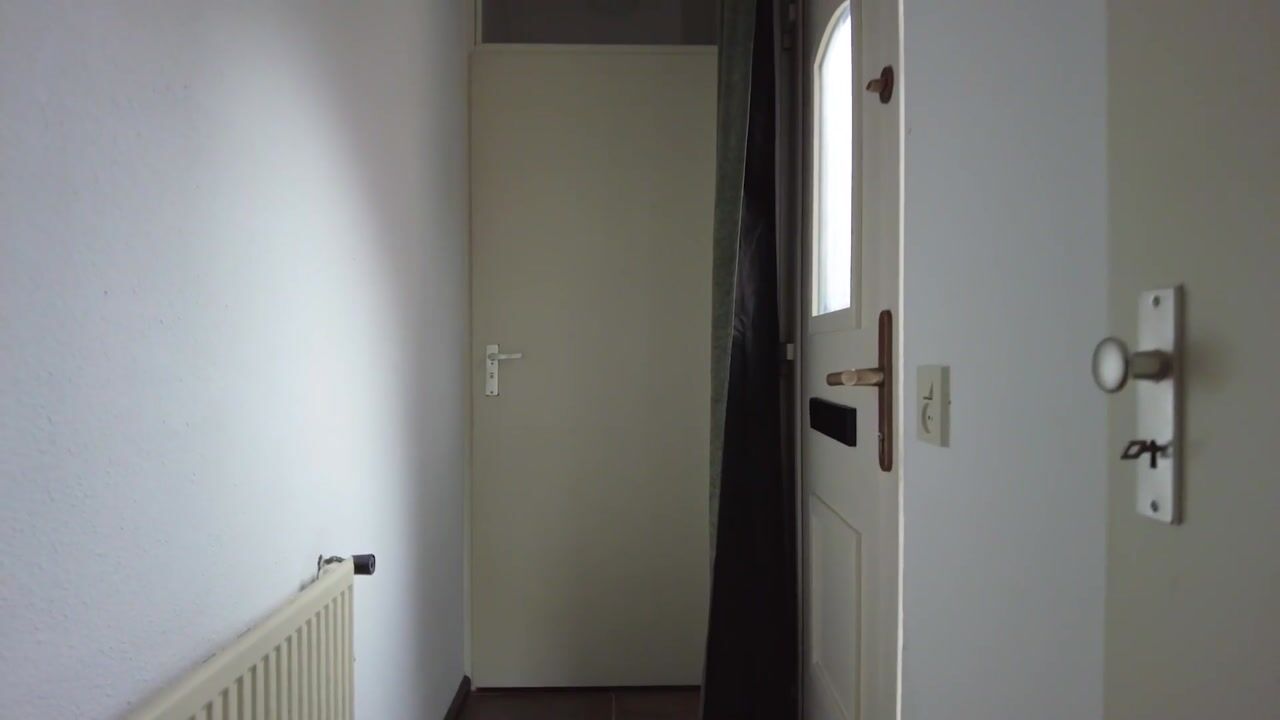 Video of Blokakkers 4