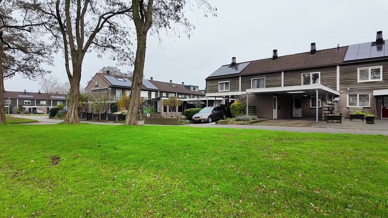 Video van Appelvink 60