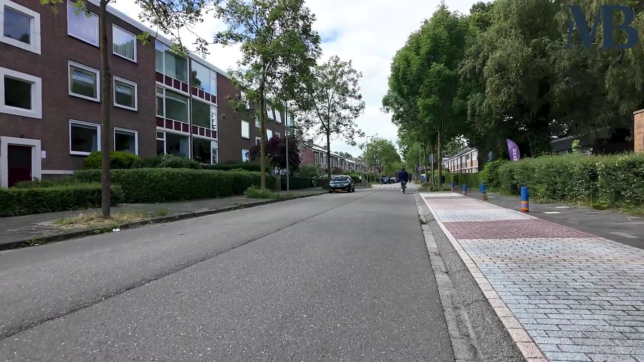 Video van Haydnlaan 77