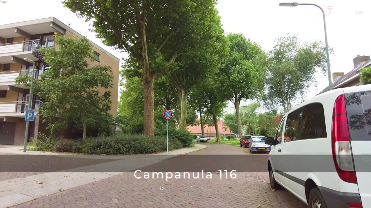 Bekijk video van Campanula 116