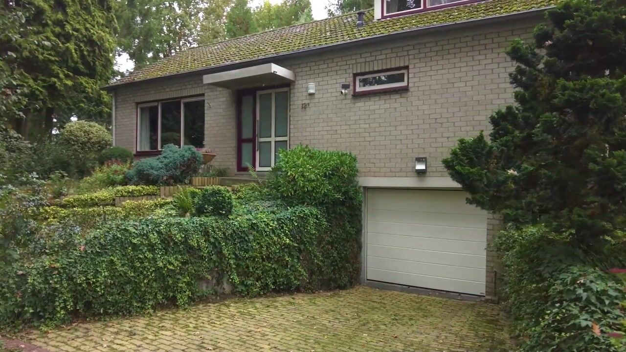 Video of Bargapark 12-A