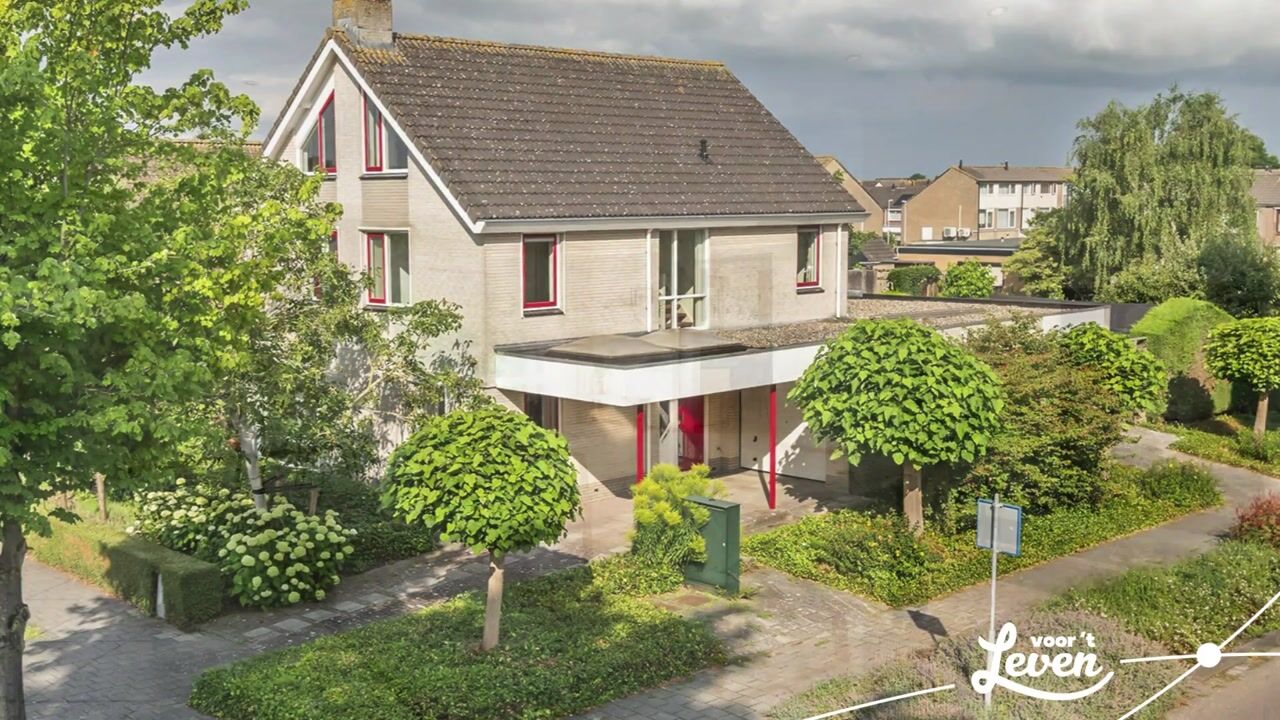 Video van Wetering 29