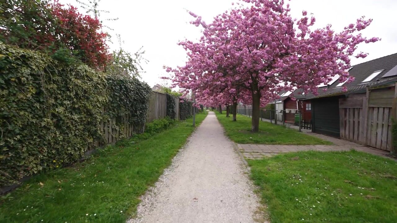 Video van Pippelinghof 1